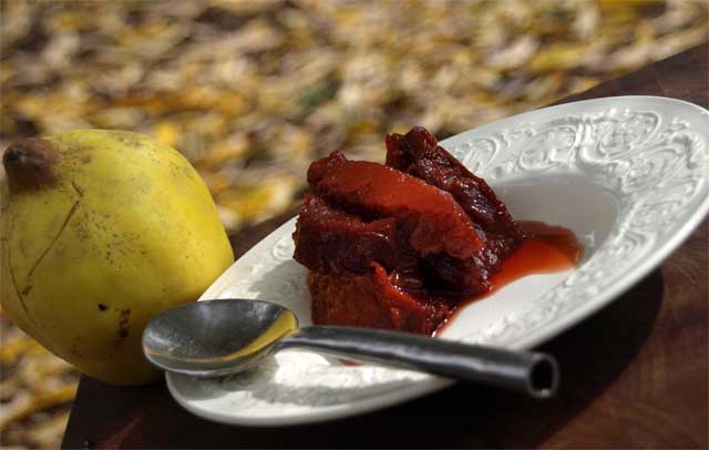 stewed quince